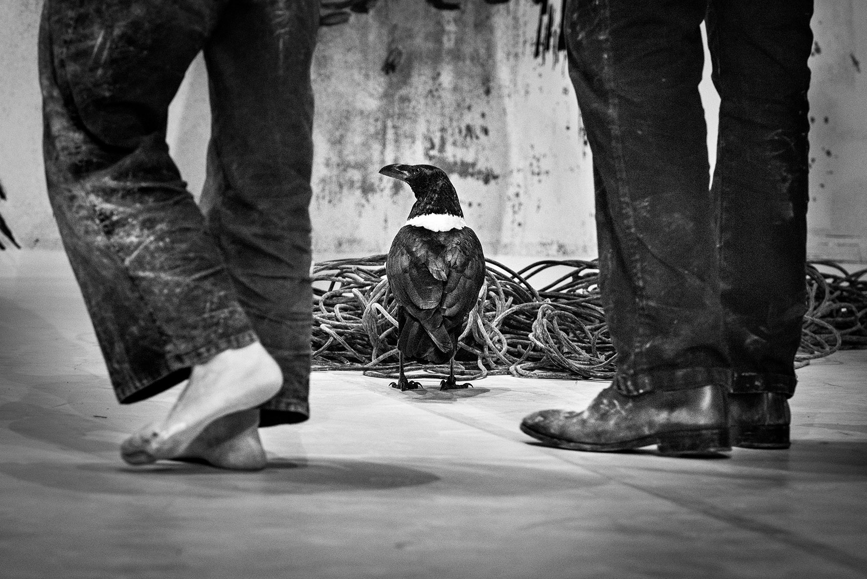 pieds_francoispasserini